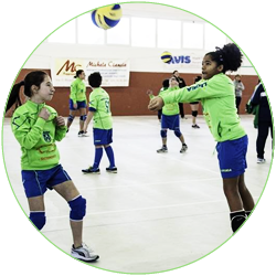 minivolley_desc3